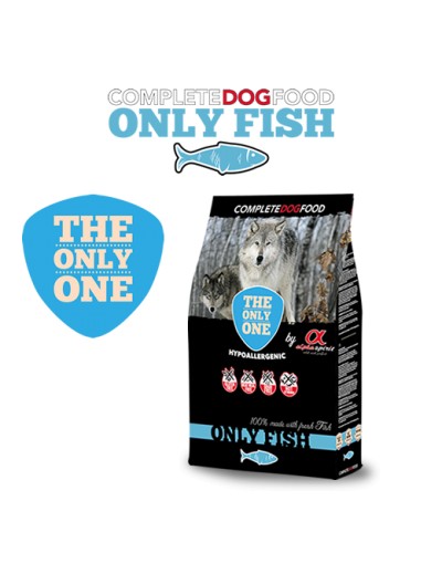 Only Fish