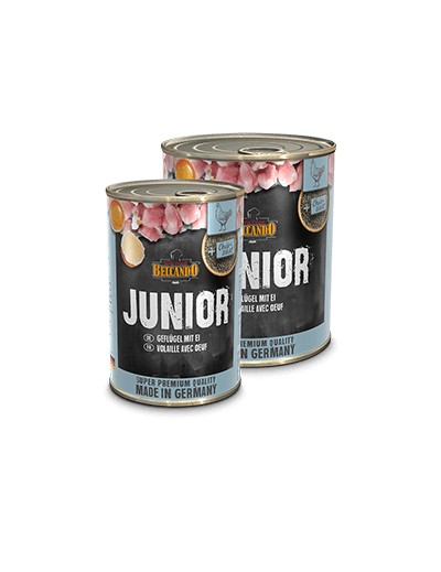 Junior ave con huevo