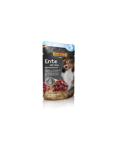 Pato con arroz y arándanos