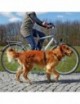 Correa para Bicicleta y Correr Trixie