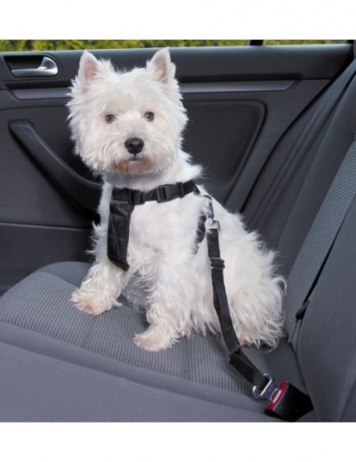 Arnés para Coche Trixie