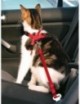 Arnés para Coche para gatos Trixie
