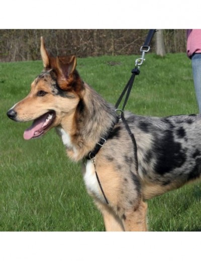 Arnés Guía EasyWalk Basic Trixie