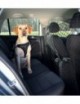 Red Protectora Coches Trixie
